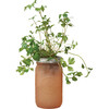 Garden Jar, Parsley - Planting Kits - 1 - thumbnail