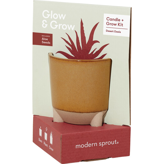 Glow & Grow Desert Oasis Candle + Aloe Grow Kit - Planting Kits - 3