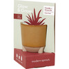 Glow & Grow Desert Oasis Candle + Aloe Grow Kit - Planting Kits - 3