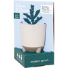 Glow & Grow Frosted Forest Candle + Spruce Grow Kit - Planting Kits - 3