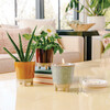 Glow & Grow Herb Garden Candle + Basil Grow Kit - Planting Kits - 2