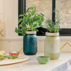 Garden Jar, Rosemary - Planting Kits - 2