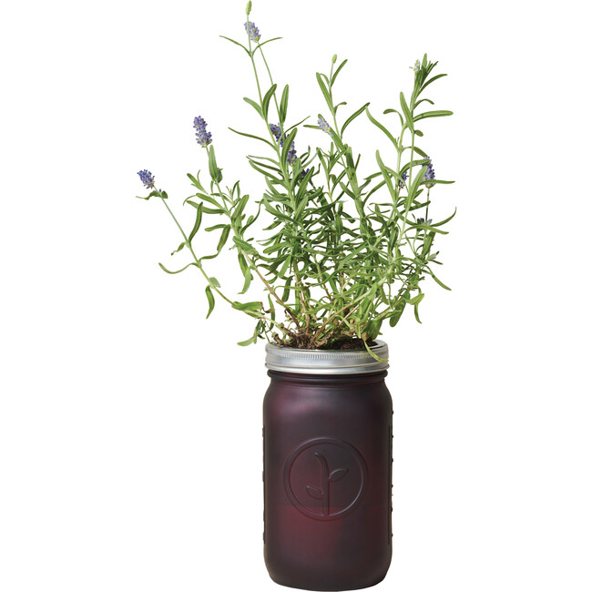 Garden Jar, Lavender