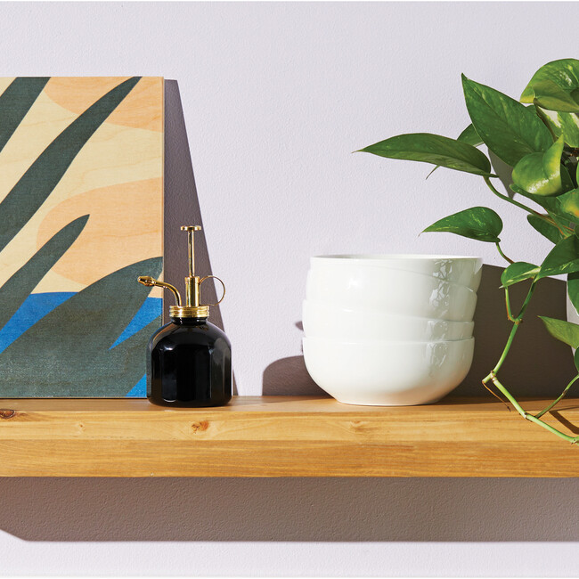 Plant Mister, Black Glass & Brass - Misters - 4