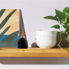 Plant Mister, Black Glass & Brass - Misters - 4