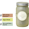 Garden Jar, Rosemary - Planting Kits - 3