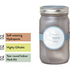 Garden Jar, Mint - Planting Kits - 3
