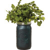 Garden Jar, Cilantro - Planting Kits - 1 - thumbnail