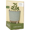 Glow & Grow Herb Garden Candle + Basil Grow Kit - Planting Kits - 3