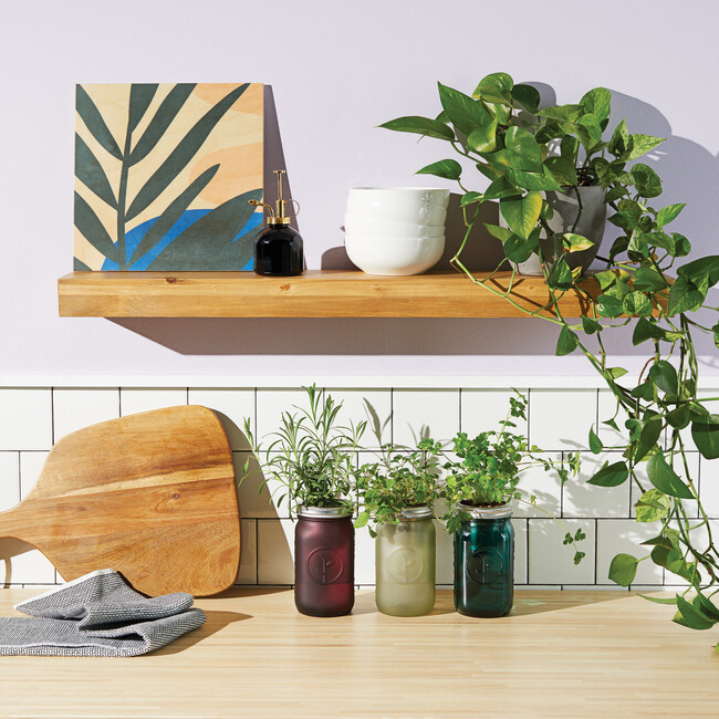 Garden Jar, Lavender - Planting Kits - 2