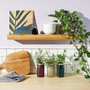 Garden Jar, Lavender - Planting Kits - 2