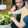 Uplift Planter, Matte White - Planters - 6