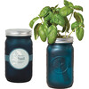 Garden Jar, Basil - Planting Kits - 1 - thumbnail