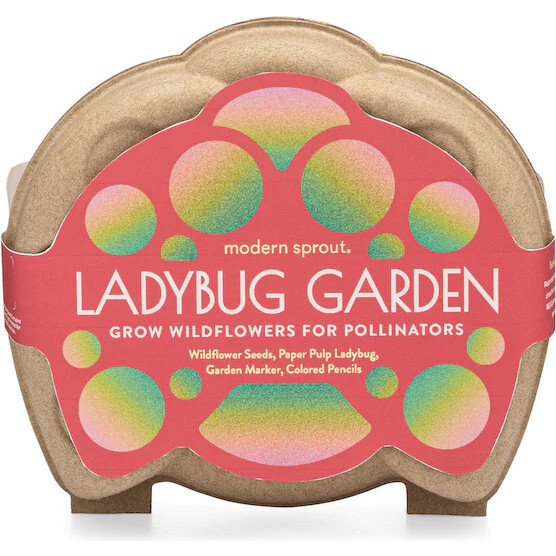 Curious Critter Garden Kit, Ladybug Garden
