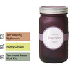 Garden Jar, Lavender - Planting Kits - 3