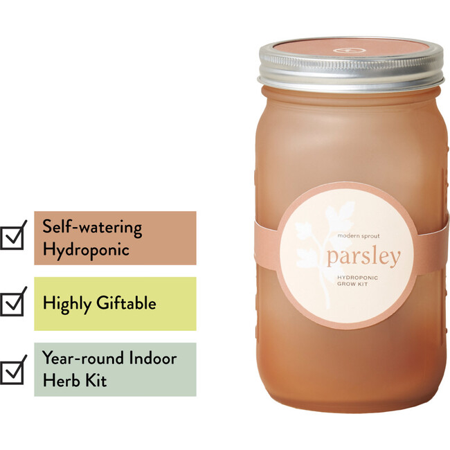 Garden Jar, Parsley - Planting Kits - 3