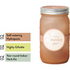 Garden Jar, Parsley - Planting Kits - 3
