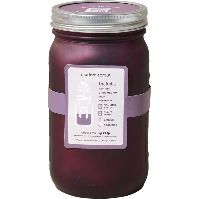 Garden Jar, Lavender - Planting Kits - 4
