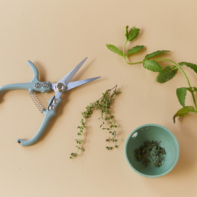 Garden Shears - Accents - 3