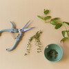 Garden Shears - Accents - 3