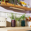 Garden Jar, Cilantro - Planting Kits - 2