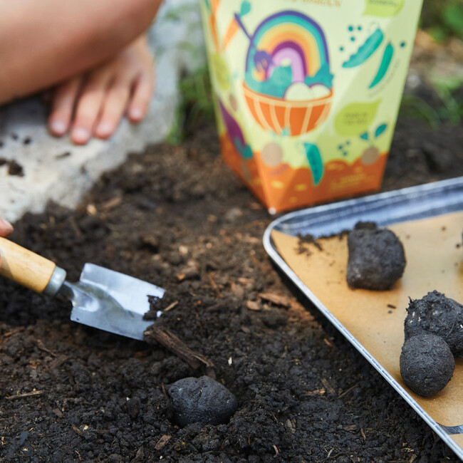 DIY Seed Ball Kit, Rainbow Garden - Seed Kits - 2