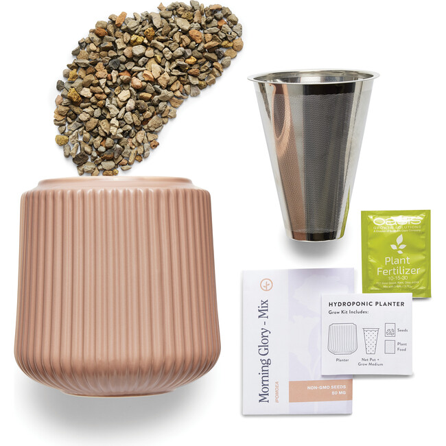 Flower Grow Kit, Morning Glory - Planting Kits - 4