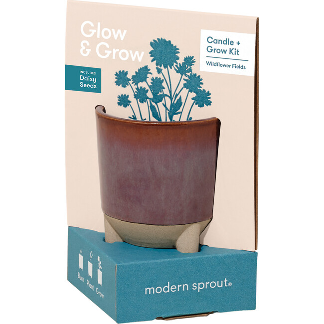 Glow & Grow Wildflower Candle + Daisy Grow Kit - Planting Kits - 3