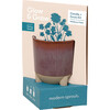 Glow & Grow Wildflower Candle + Daisy Grow Kit - Planting Kits - 3
