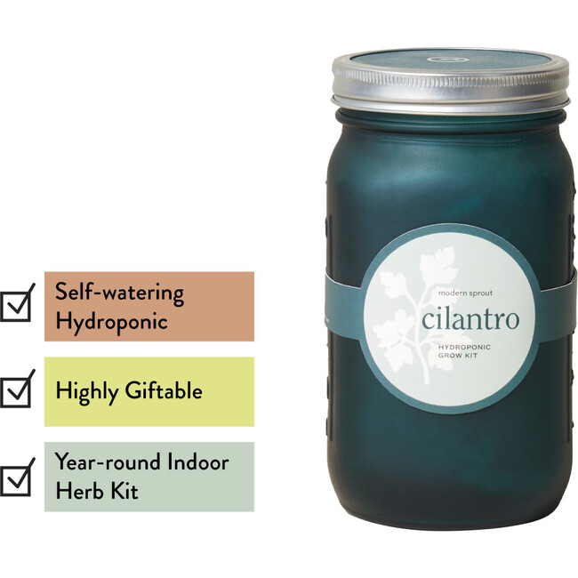 Garden Jar, Cilantro - Planting Kits - 3