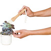 Plant Parent Botanical Gift Box Set - Planting Kits - 7