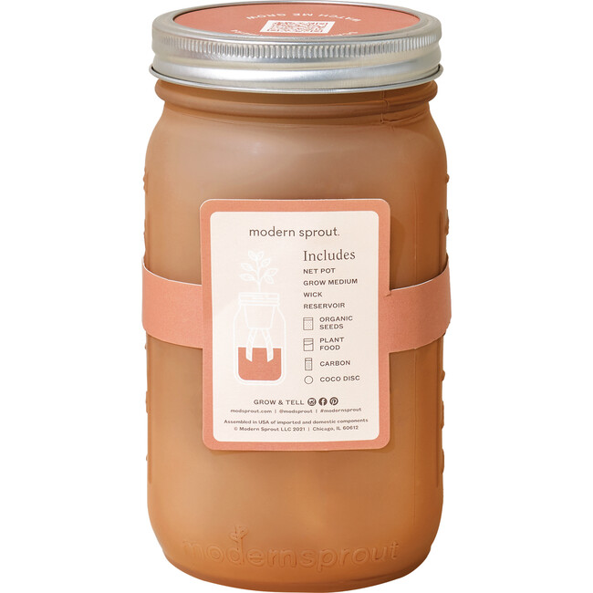 Garden Jar, Parsley - Planting Kits - 4