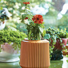 Flower Grow Kit, Zinnia Dahlia - Planting Kits - 2