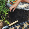 DIY Seed Ball Kit, Rainbow Garden - Seed Kits - 3