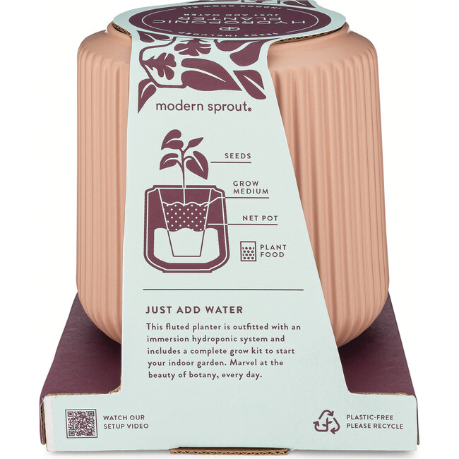 Flower Grow Kit, Morning Glory - Planting Kits - 6