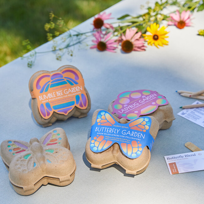 Curious Critter Garden Kit, Bee Garden - Planting Kits - 2