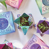 Cosmic Seed Kit, Water - Seed Kits - 2