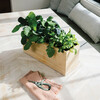Garden Shears - Accents - 5