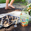 DIY Seed Ball Kit, Rainbow Garden - Seed Kits - 4