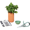 Growing Gourmet Botanical Gift Box Set - Planting Kits - 5