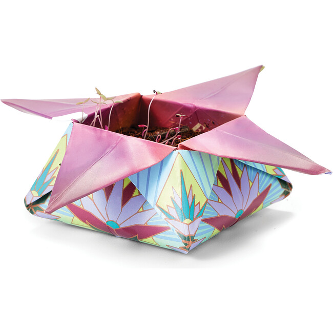 Cosmic Seed Kit, Fire - Seed Kits - 3