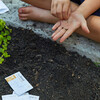 DIY Seed Ball Kit, Wildflower Garden - Seed Kits - 3