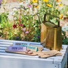 Bright Side Seed Balls, Grow Comfort - Seed Kits - 3