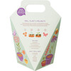 DIY Seed Ball Kit, Wildflower Garden - Seed Kits - 5