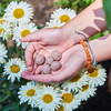 Bright Side Seed Balls, Grow Love - Seed Kits - 2