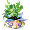 Cosmic Seed Kit, Water - Seed Kits - 4
