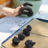 DIY Seed Ball Kit, Pizza Garden - Seed Kits - 3
