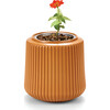Flower Grow Kit, Zinnia Dahlia - Planting Kits - 6