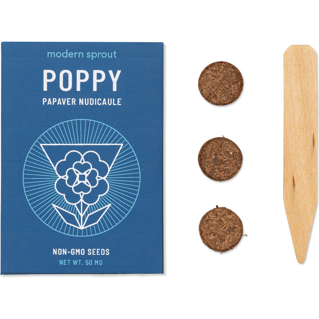 Cosmic Seed Kit, Water - Seed Kits - 5