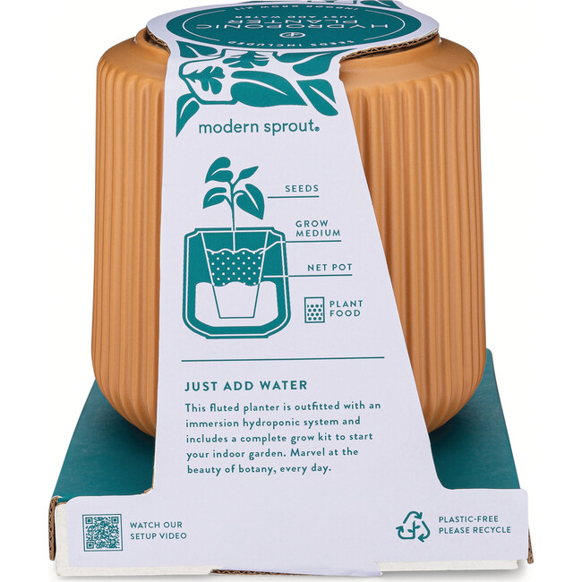 Flower Grow Kit, Zinnia Dahlia - Planting Kits - 7